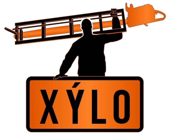 Xylo Design